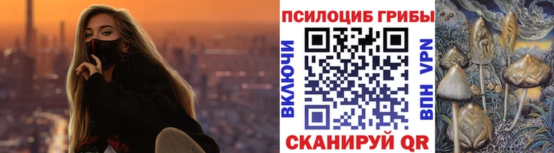 Псилоцибиновые грибы мицелий Микунь